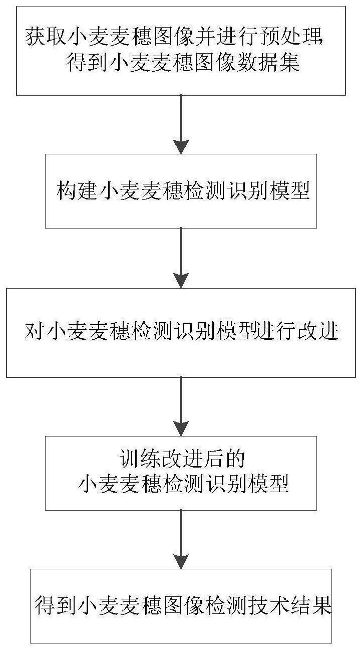 基于YOLOv5改进的麦穗检测计数方法与流程