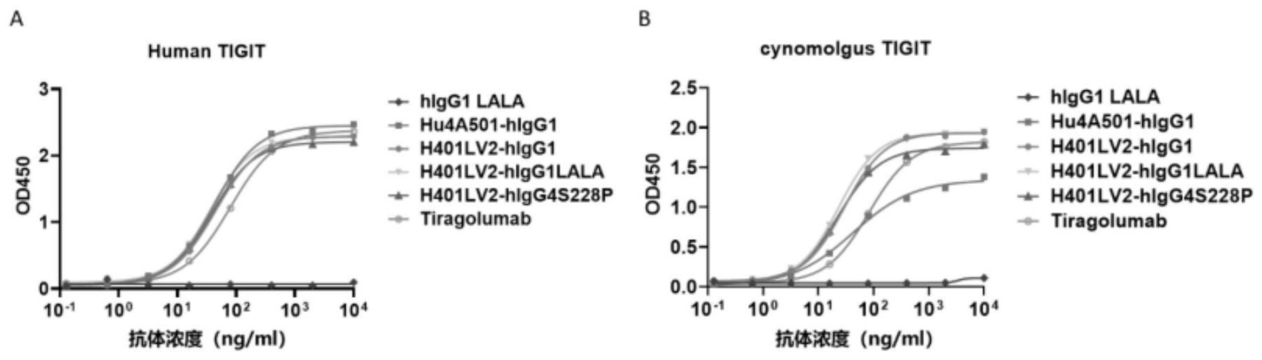 高亲和力TIGIT抗体及其应用的制作方法