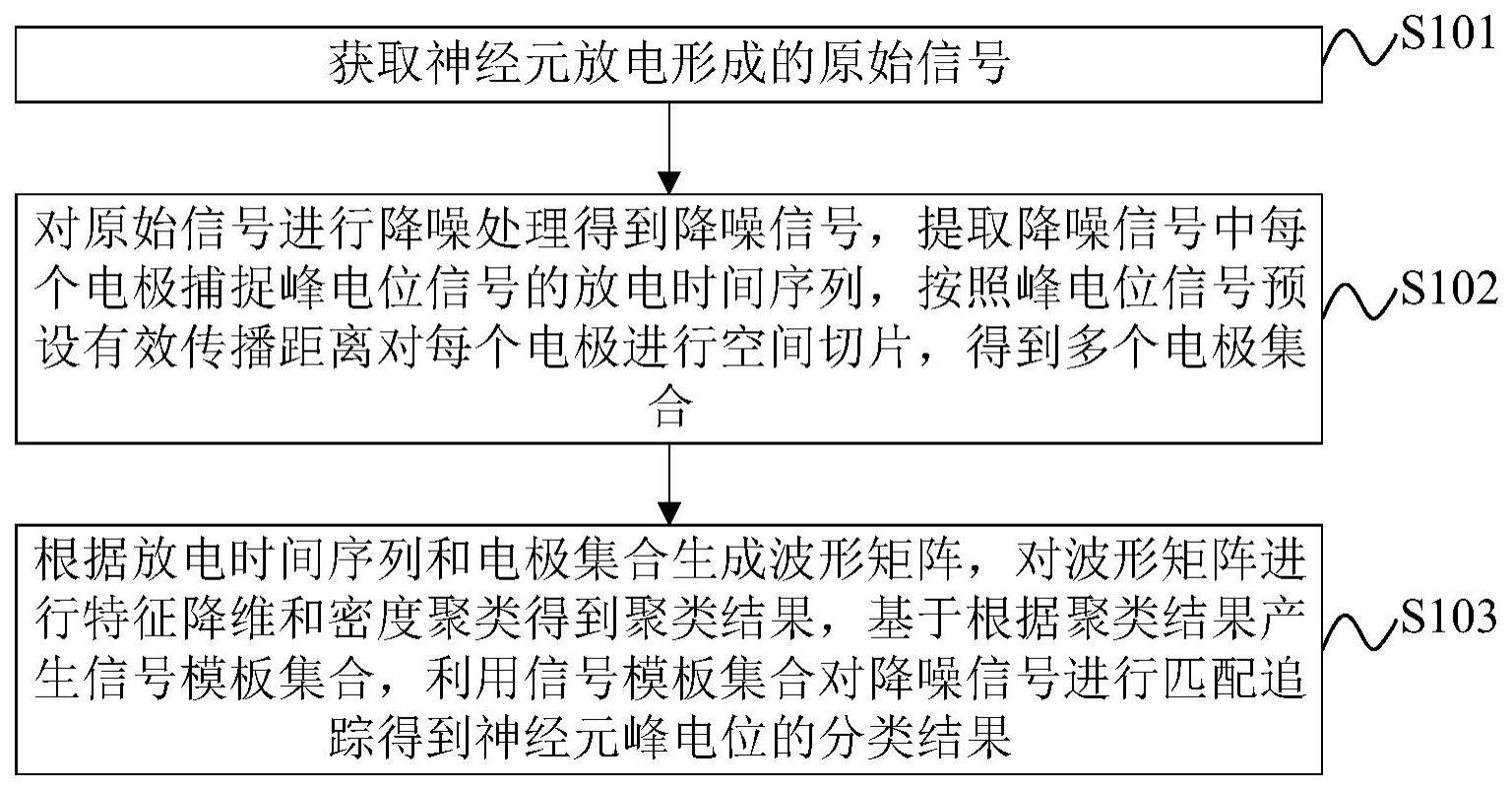 神经元峰电位分类方法、装置、电子设备及存储介质