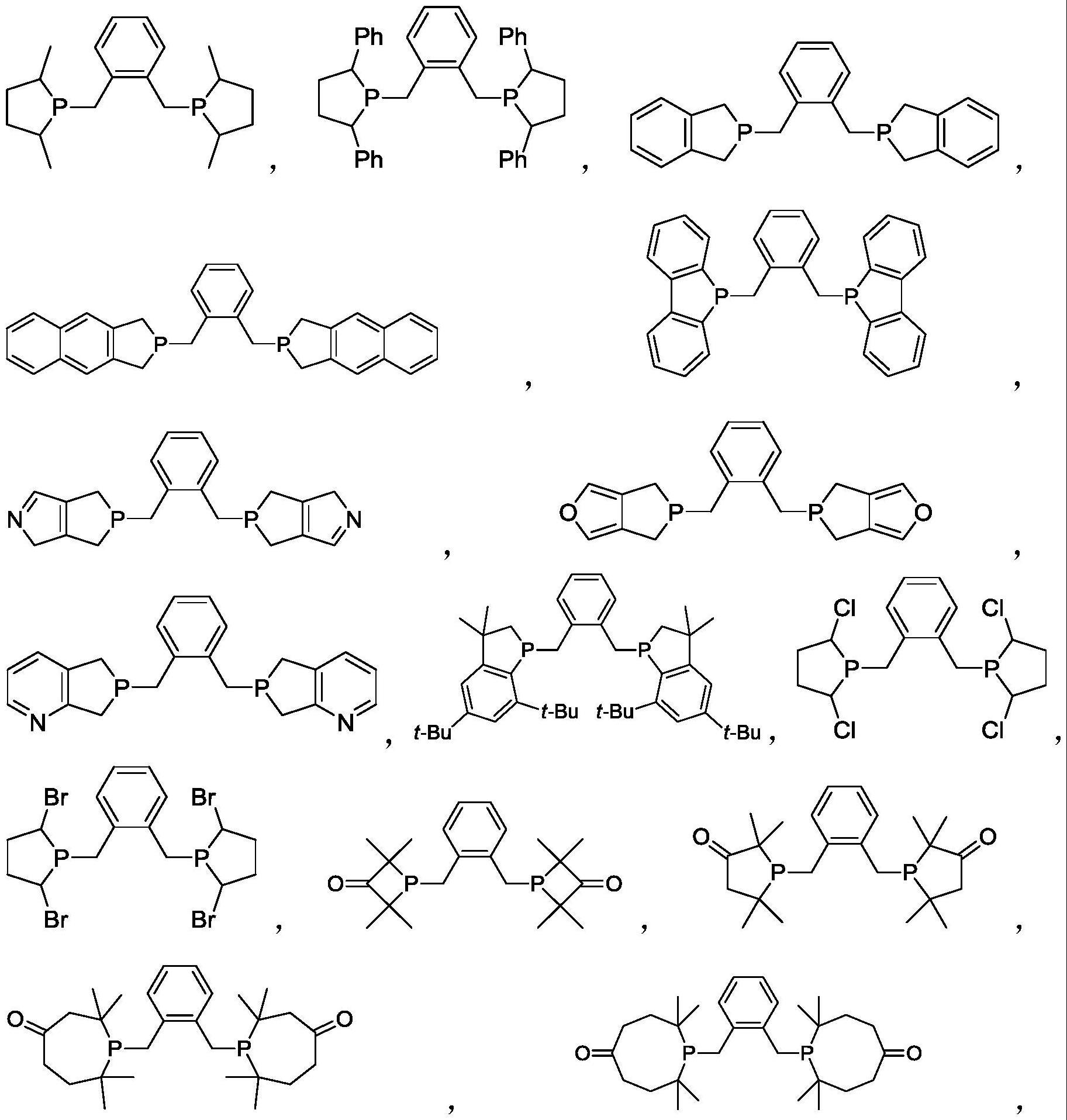 催化剂体系和羰基化反应的方法