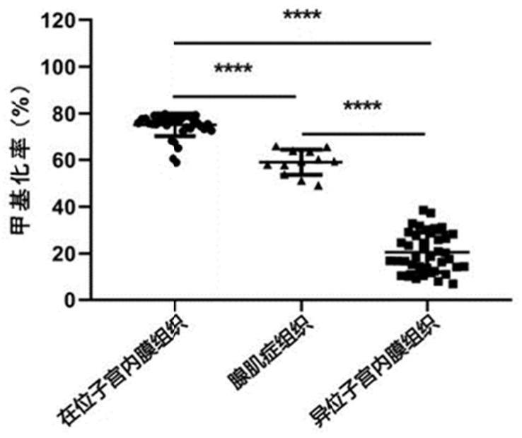 甲基化位点作为子宫内膜异位症分子诊断标志物的应用的制作方法