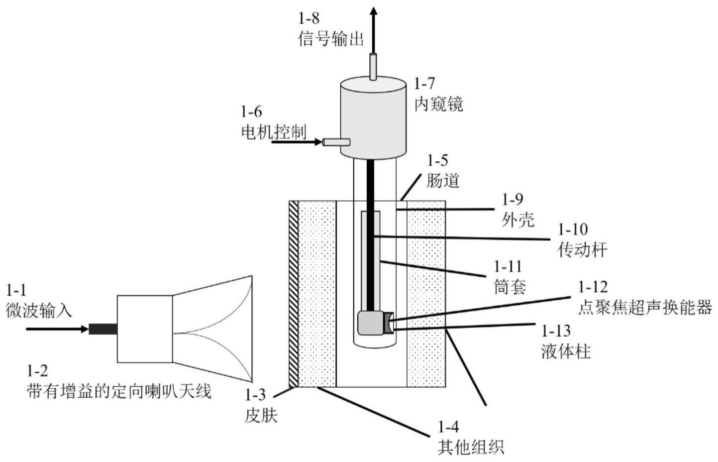 微波热声内窥显微成像系统及方法