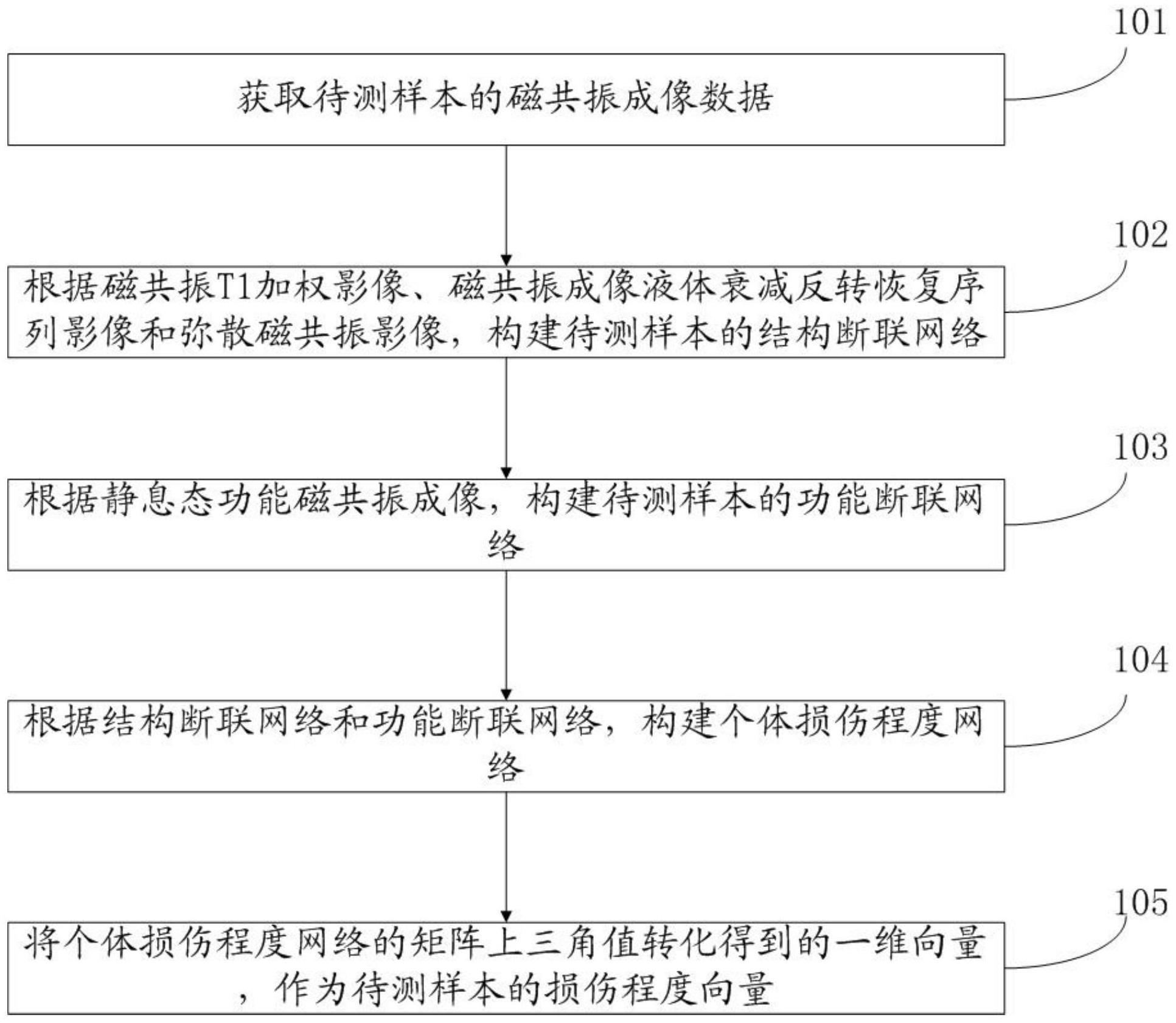 磁共振影像特征提取方法、系统、设备及特征应用方法