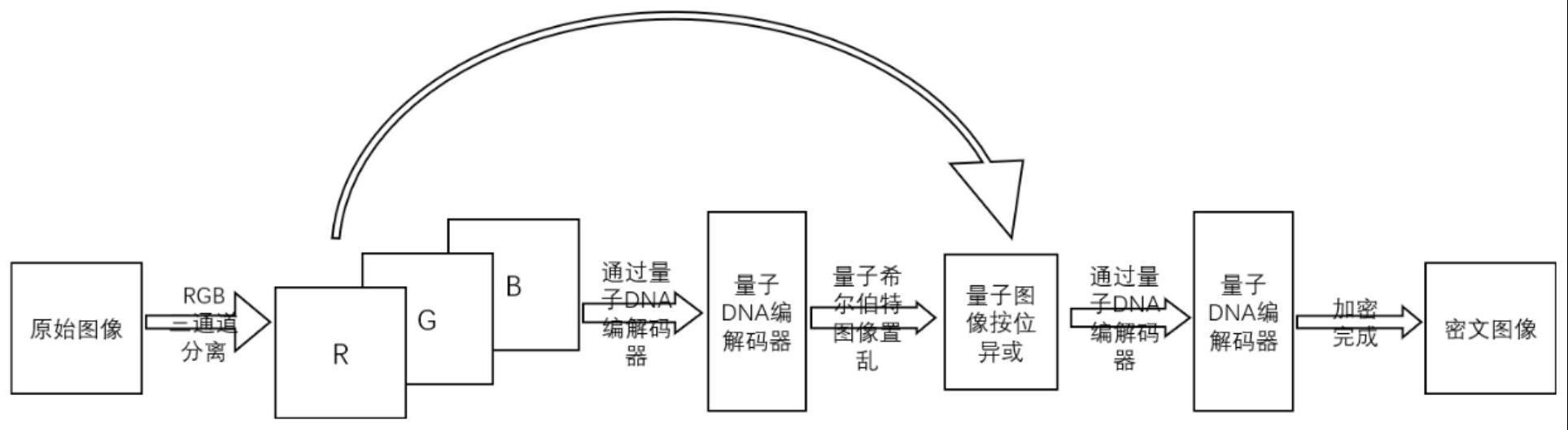 一种基于量子DNA编解码器的量子图像加密解密方法