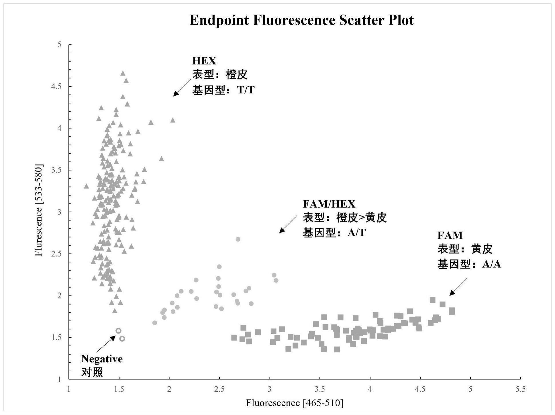 一种苗期鉴别柑橘果皮色泽的KASP分子标记及其应用