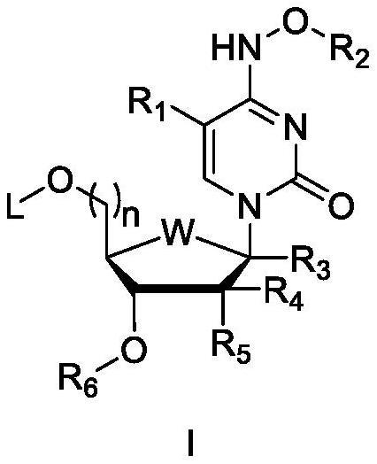 一种抗病毒感染的核苷衍生物及其制备方法与用途与流程