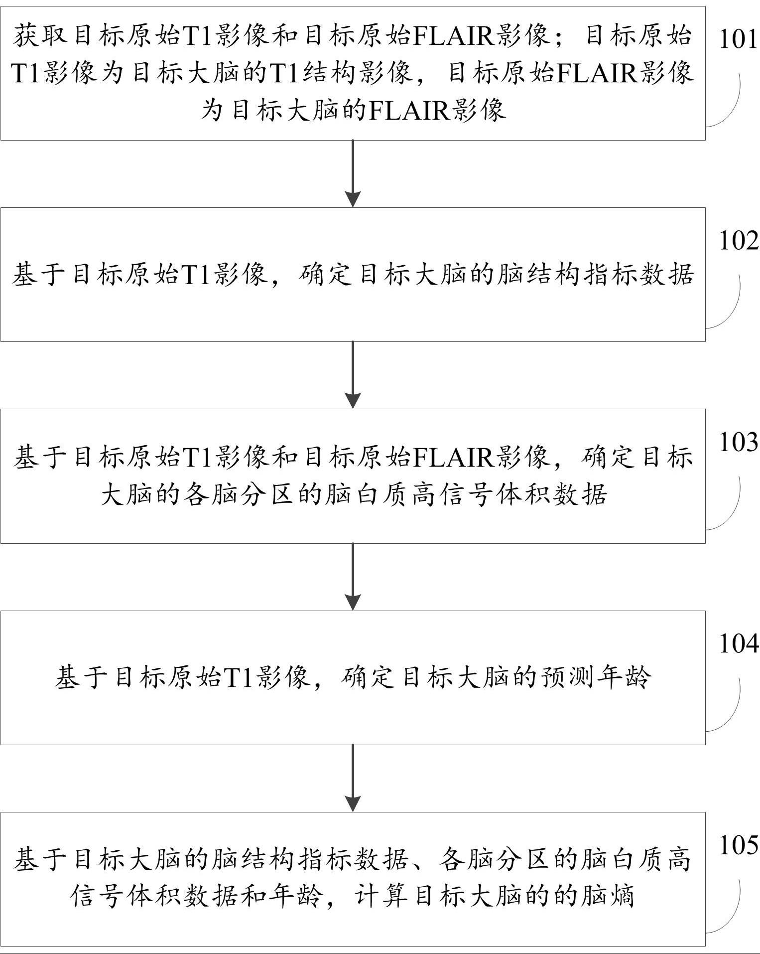 一种脑熵的确定方法、系统、电子设备及存储介质