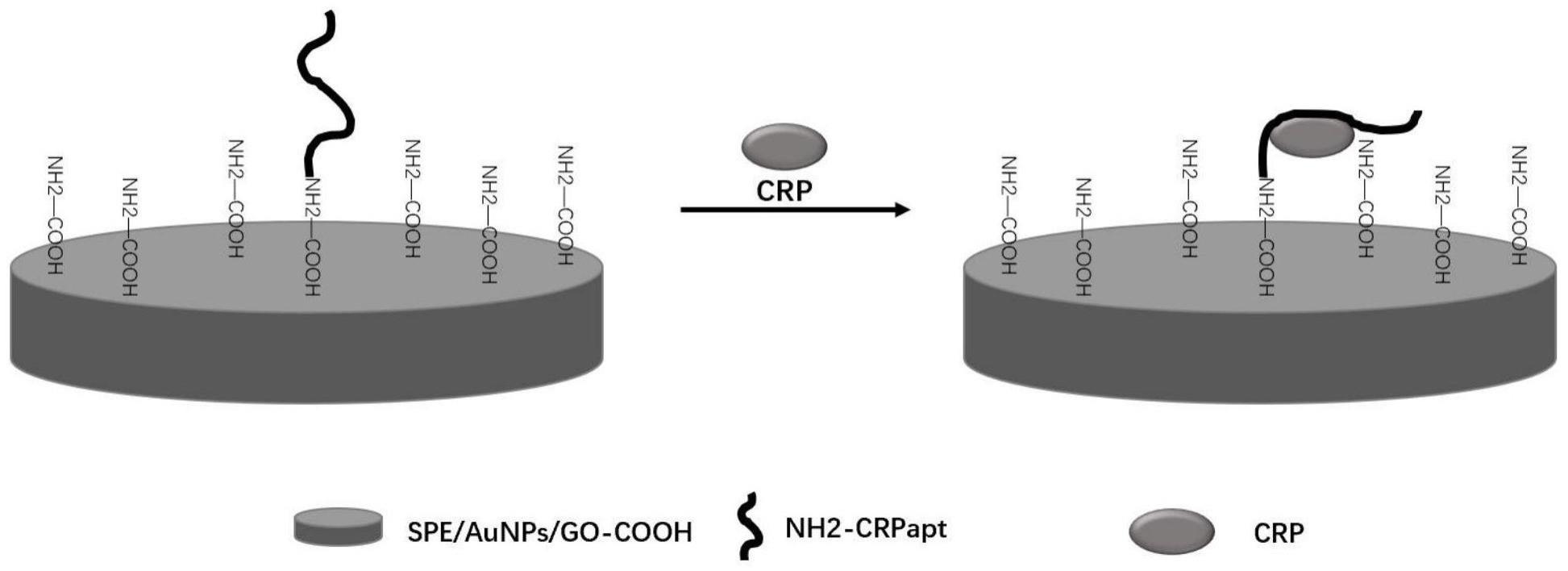 一种基于适配体结构变化的CRP敏感捕获方法