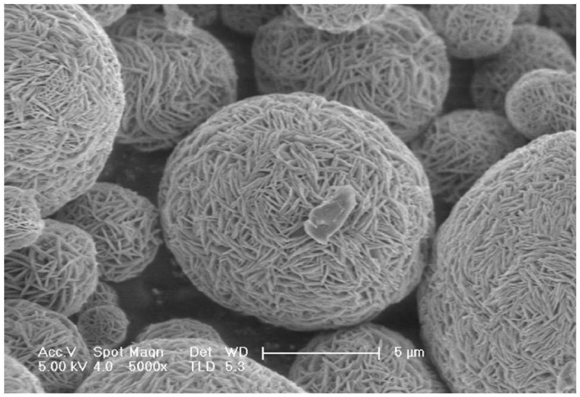 活性物质前驱体、其制备方法和由其形成的活性物质与流程