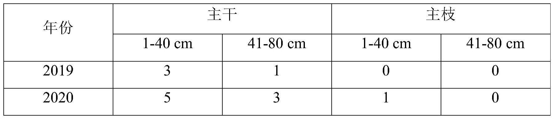 一种缓释药剂淋洗喷杆防治红颈天牛的方法