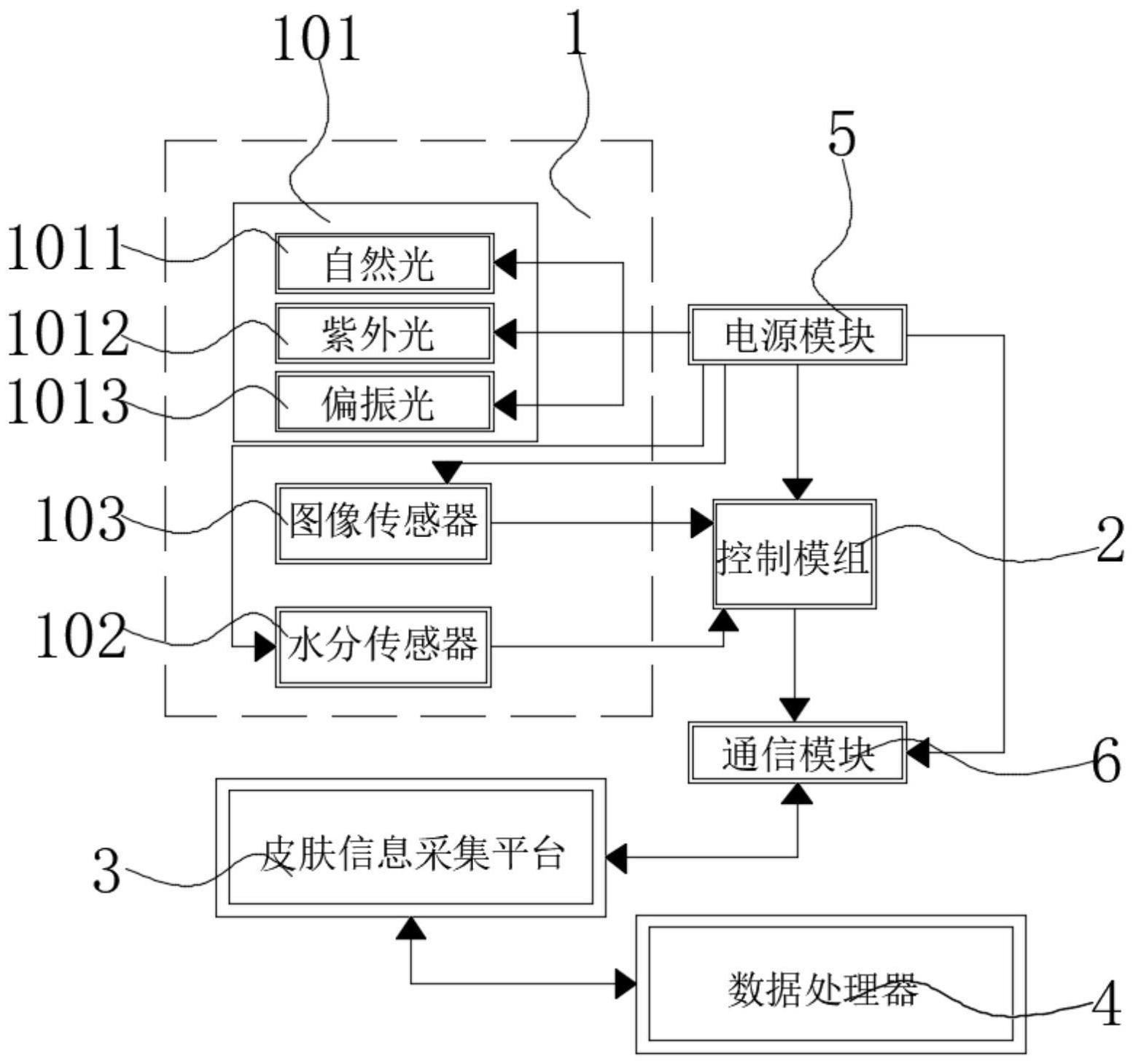 一种皮肤检测系统及检测方法与流程