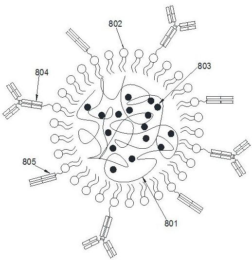 PD-1靶向负载姜黄素的纳米制剂、制备及在肾脏疾病的应用