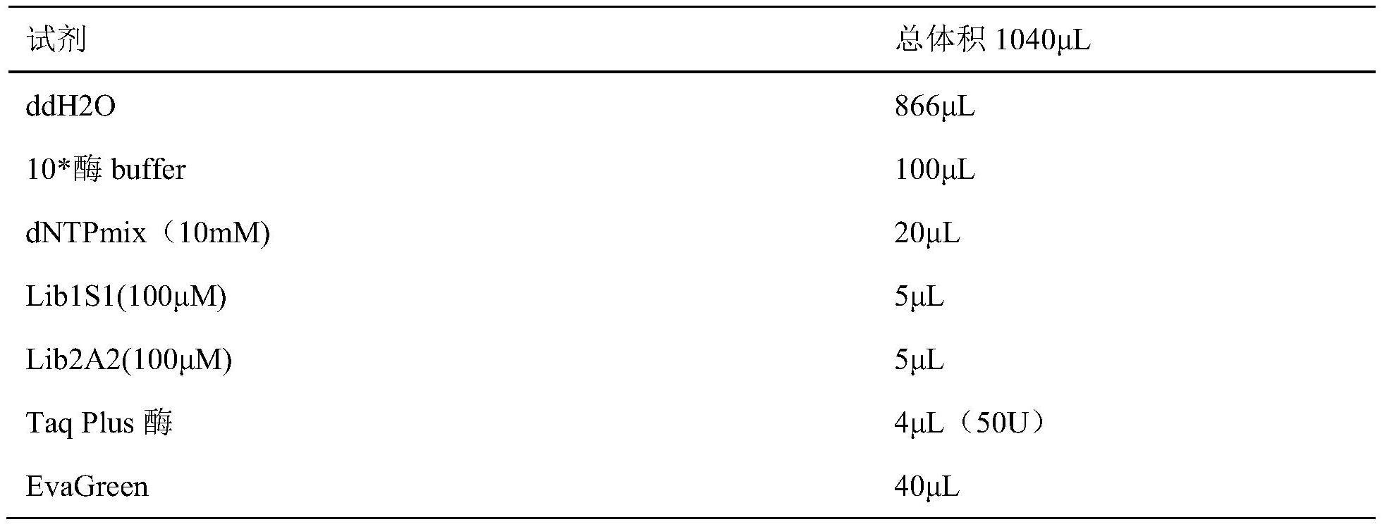 一类靶向促甲状腺素受体的核酸适配体及其应用