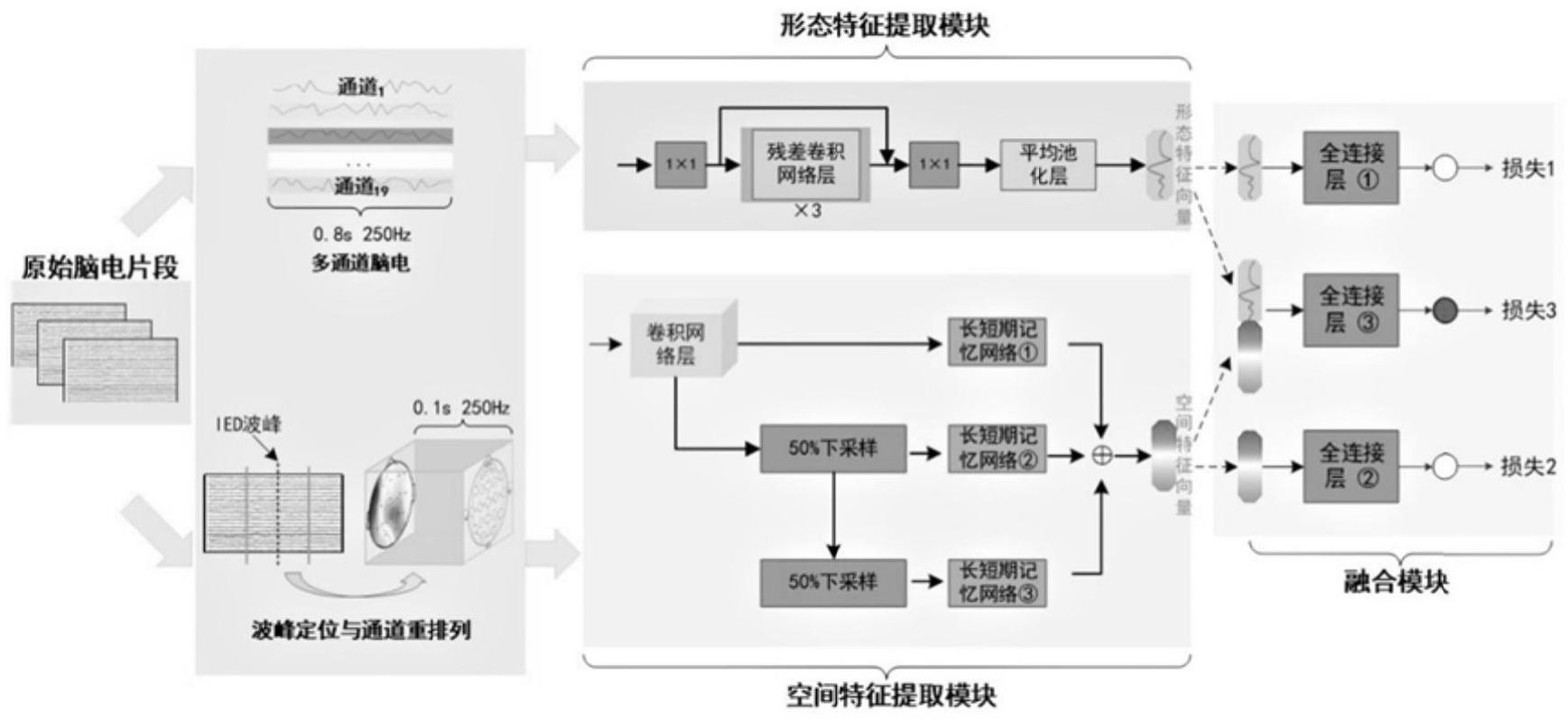 基于双视角特征融合框架的发作间期癫痫样放电检测方法及装置