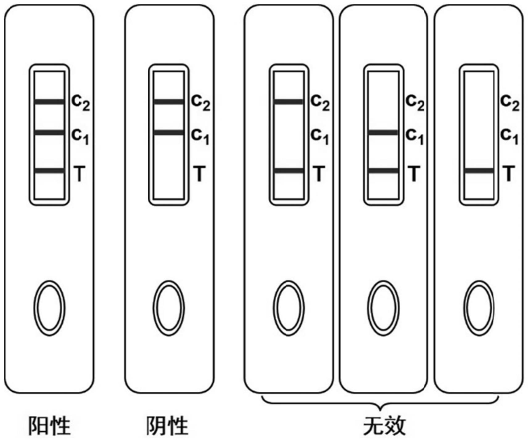 一种监测采样有效性的质控线及其应用的制作方法