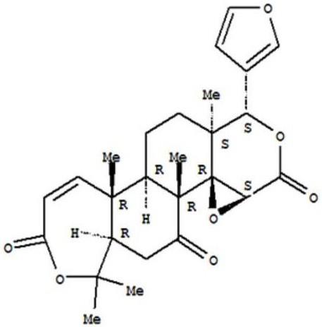 黄柏酮在治疗雄激素脱发中的制药用途