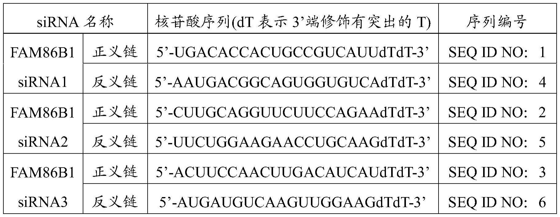 抑制人FAM86B1基因表达的siRNA及FAM86B1低表达的细胞系的制作方法