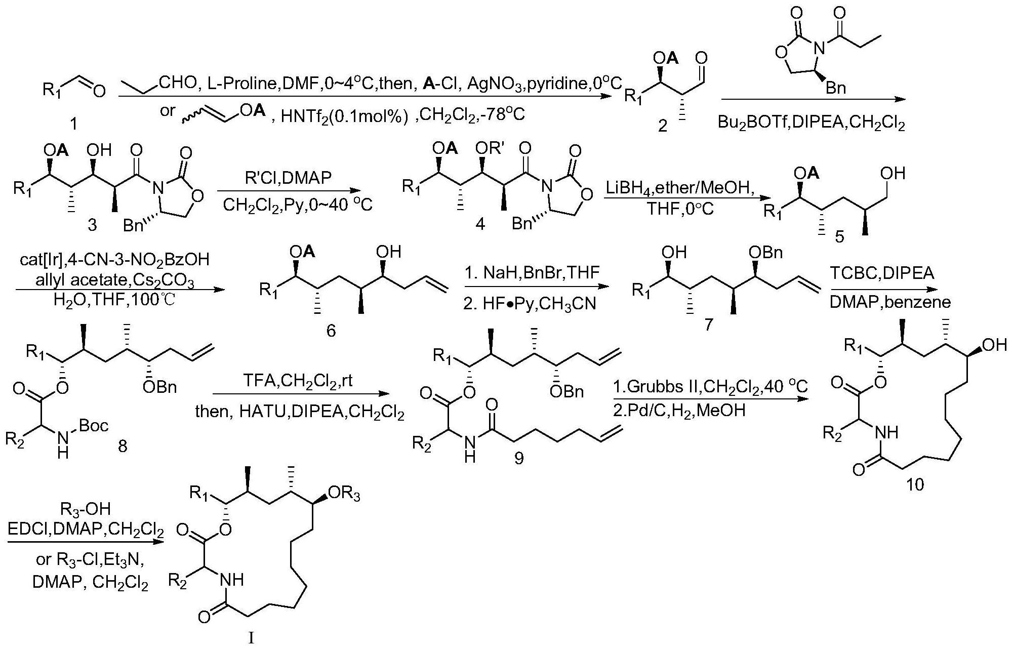 环脂肽类天然产物DysoxylactamA及其类似物的制备方法