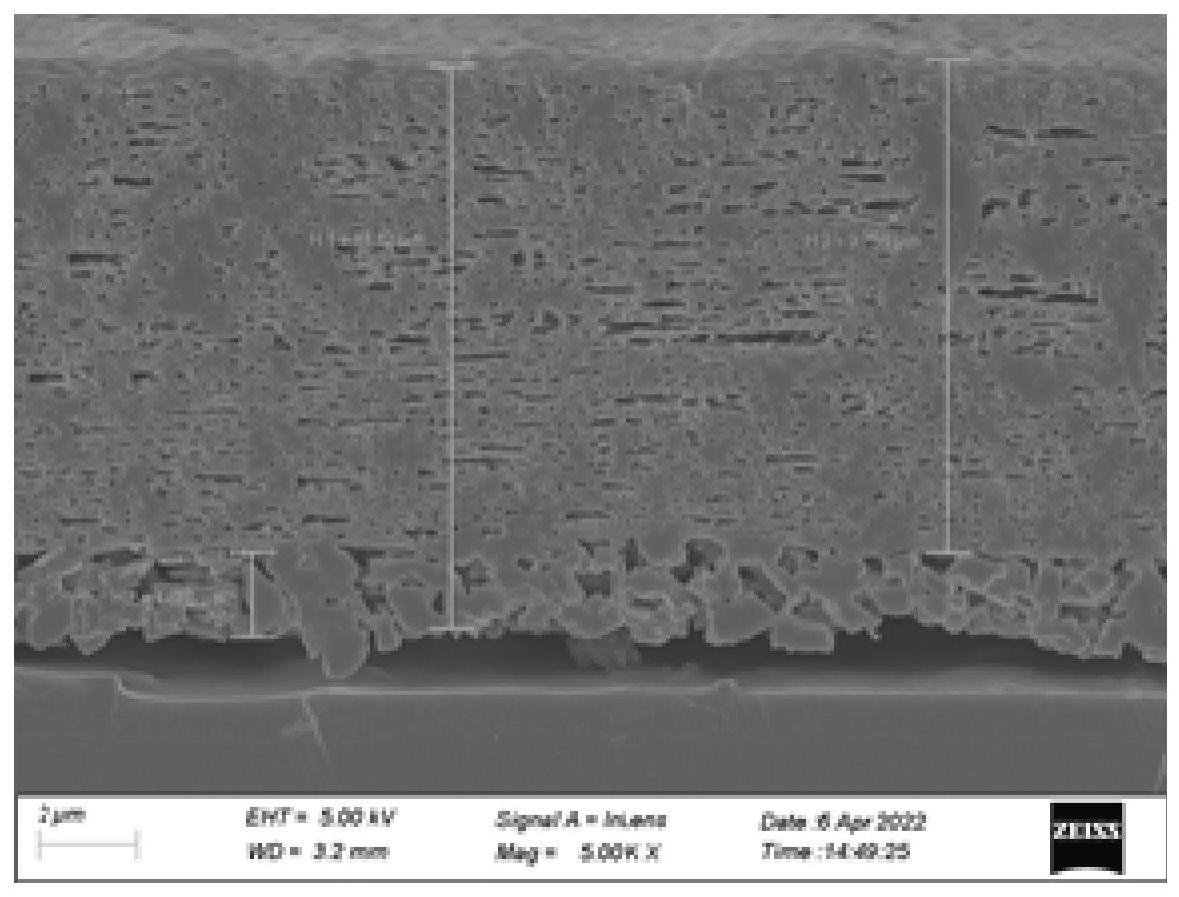 锂电池隔膜微观形貌的测试方法与流程