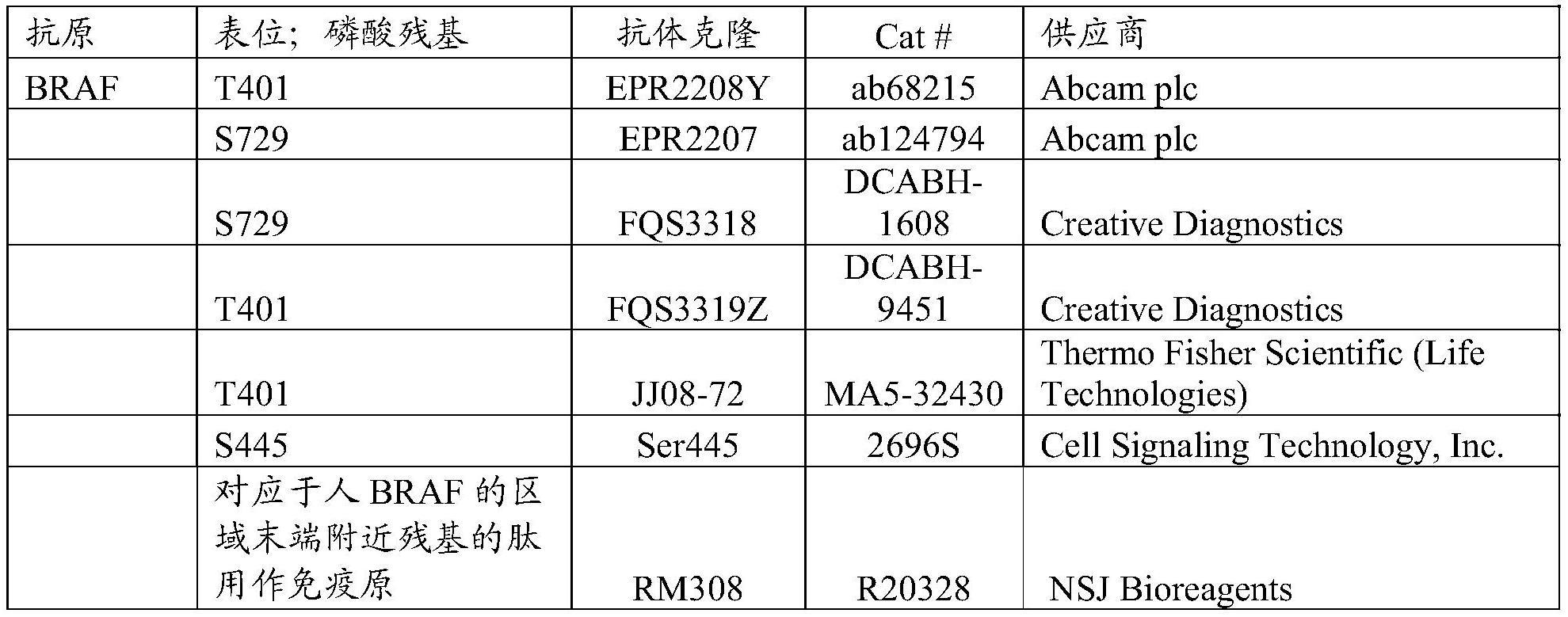 嵌合抗原受体细胞的制作方法