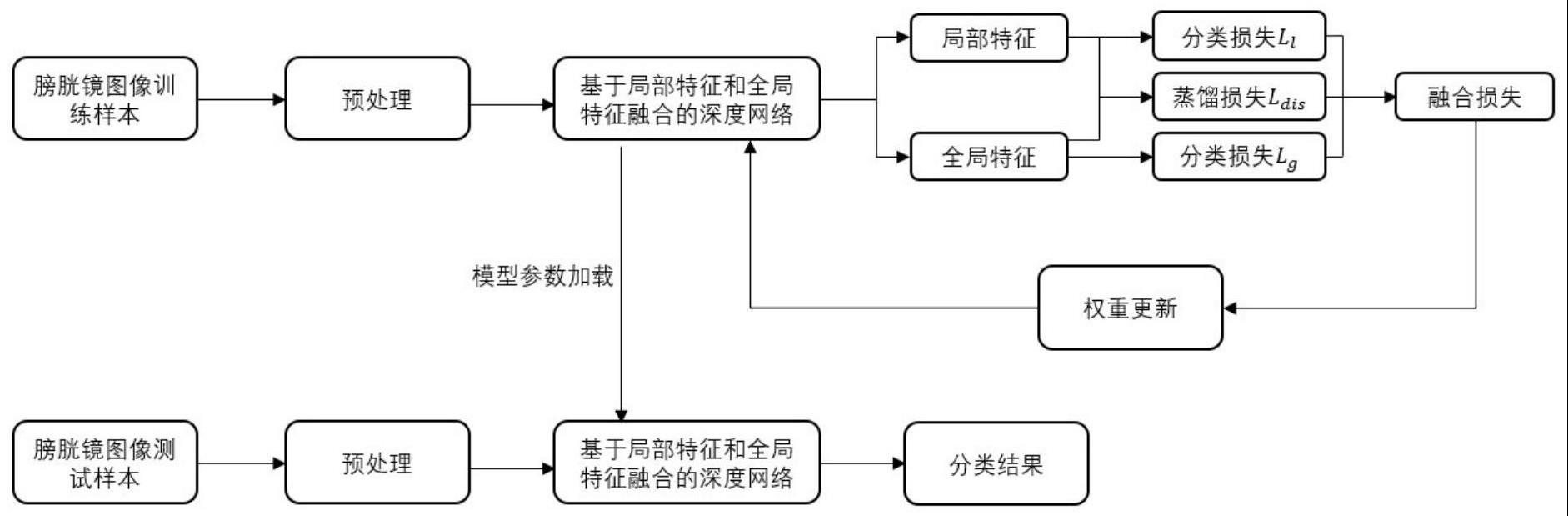 基于局部特征和全局特征融合的膀胱镜图像分类方法