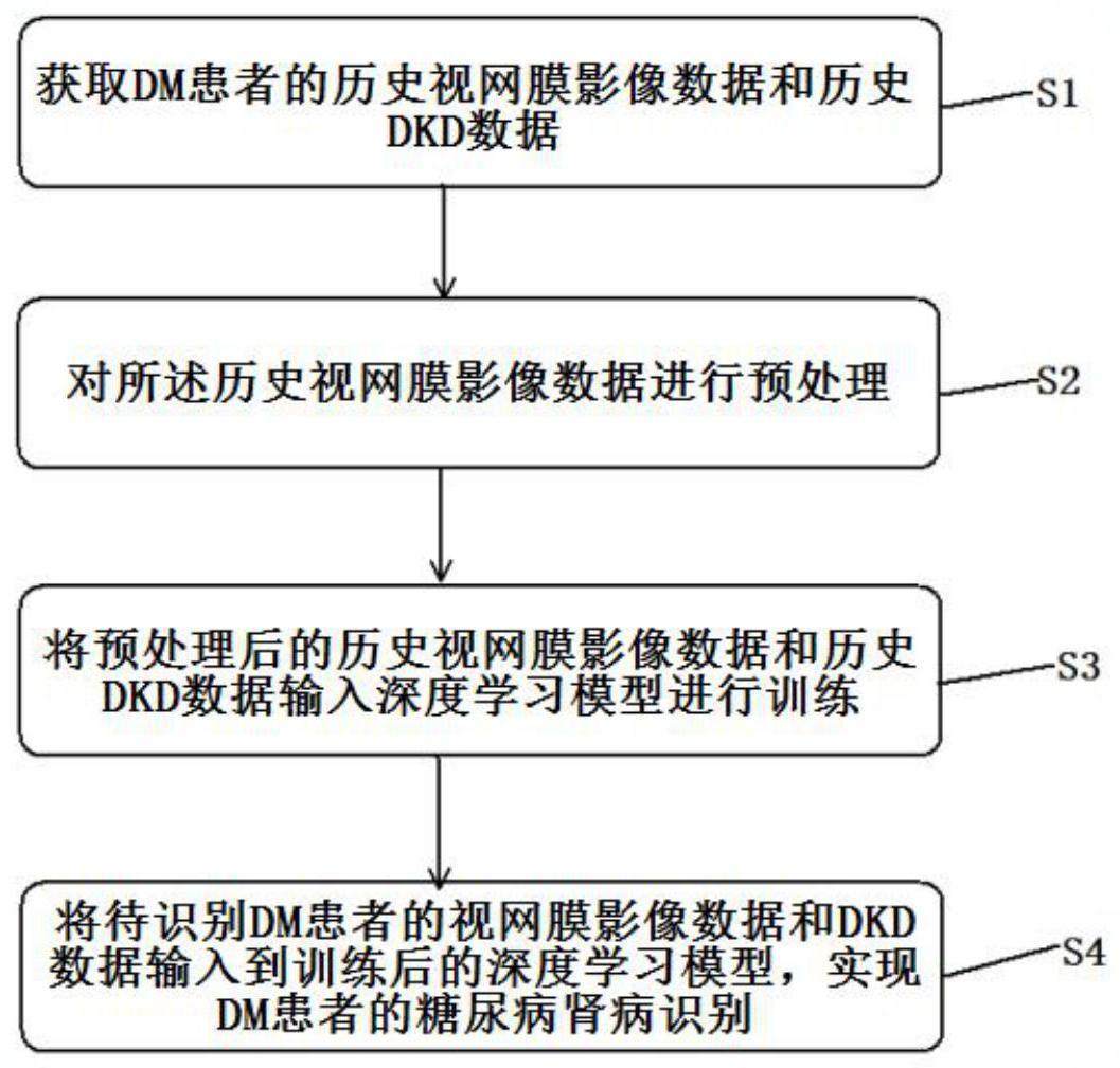 一种慢性糖尿病肾病识别方法和装置、存储介质与流程