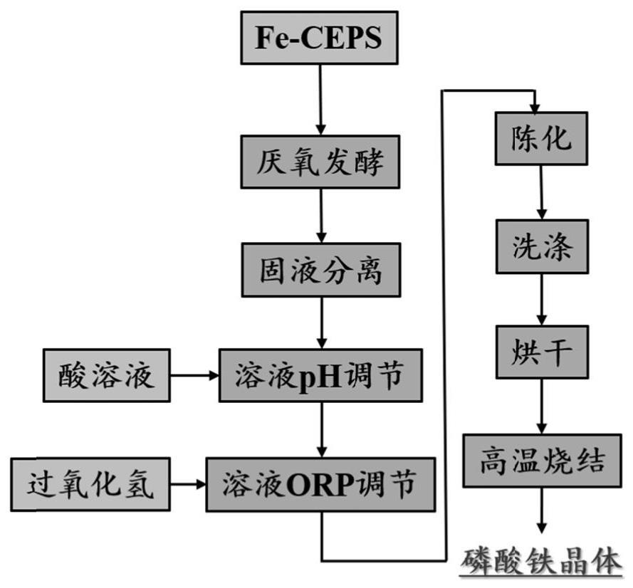 一种回收磷和铁的方法及其应用