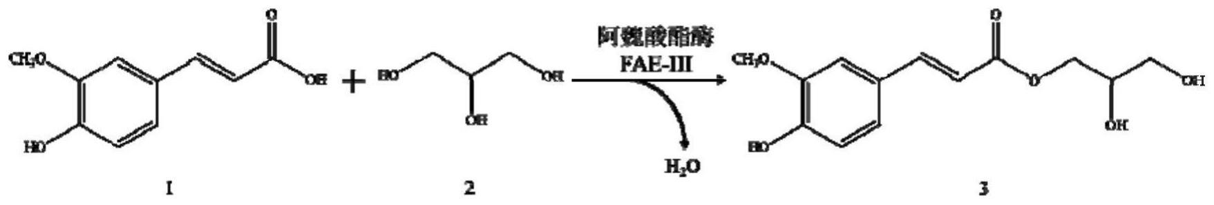一种生物酶催化制备水溶性阿魏酸衍生物的方法与流程