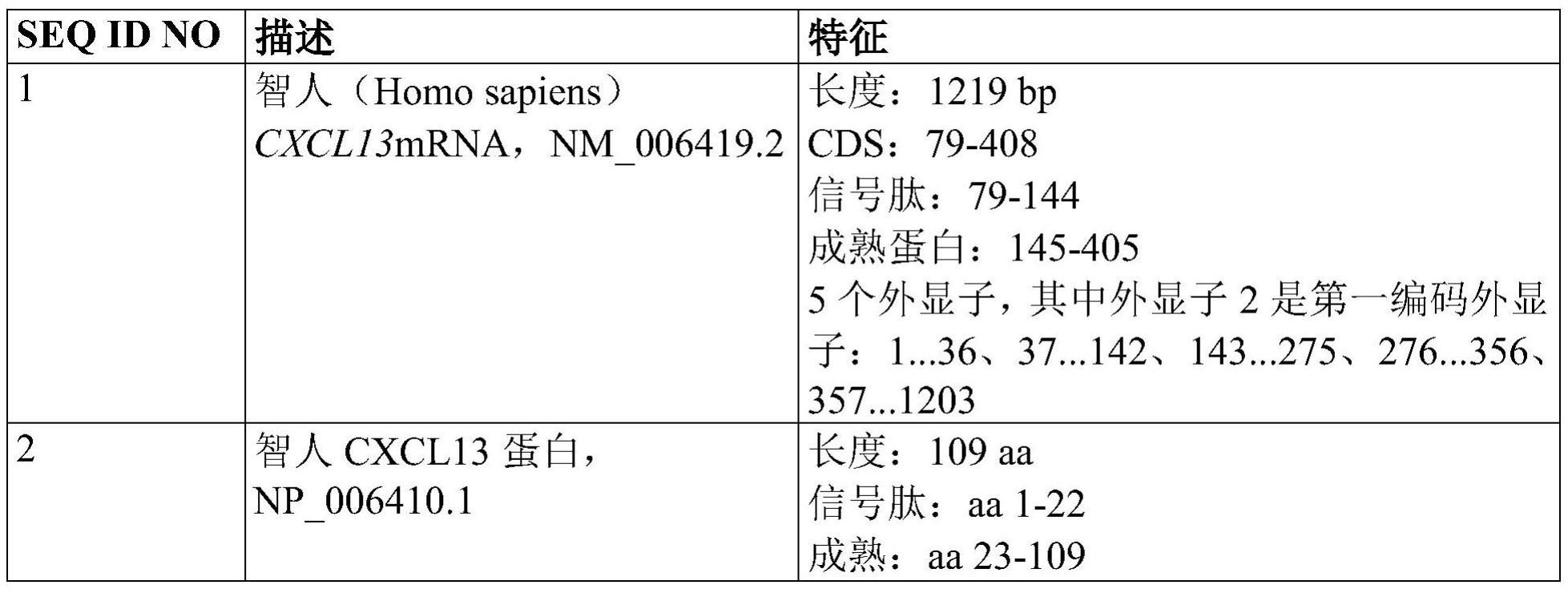 具有人源化CXCL13基因的非人动物的制作方法