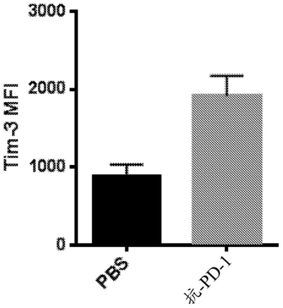 特异性结合PD-1的抗体及其用途的制作方法
