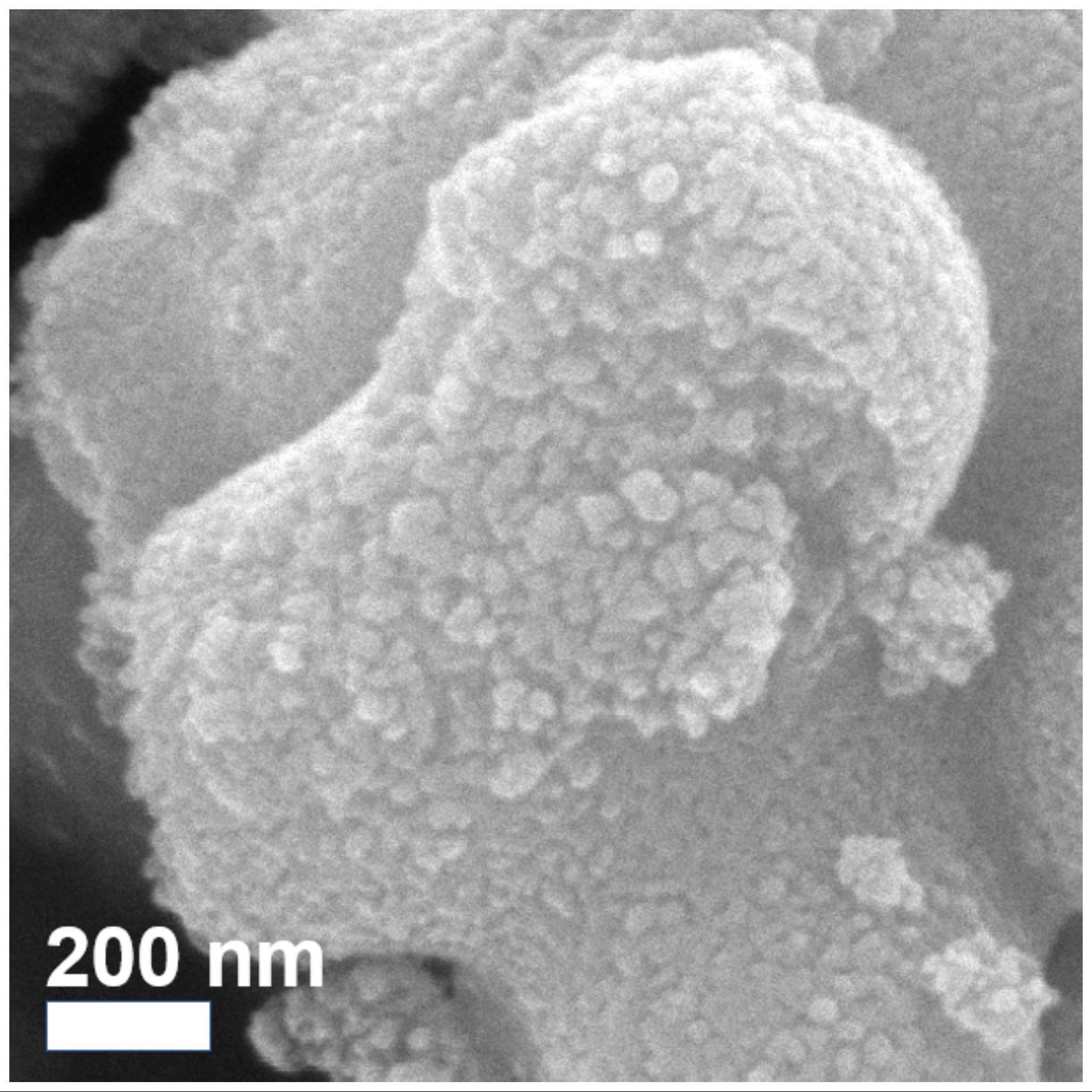 一种富氧空位的主暴露{101}晶面二氧化钛材料、制备方法及其应用