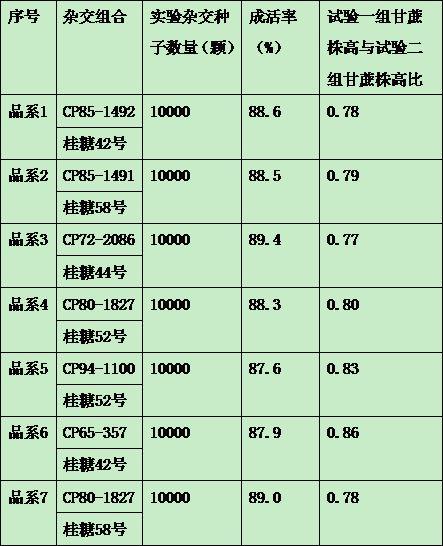 一种耐碾压甘蔗品种筛选方法