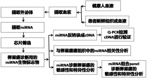 miRNA作为生物标志物在诊断卵巢癌中的应用的制作方法