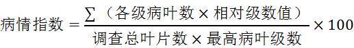 一种混合微生物菌剂及其制备方法和应用与流程