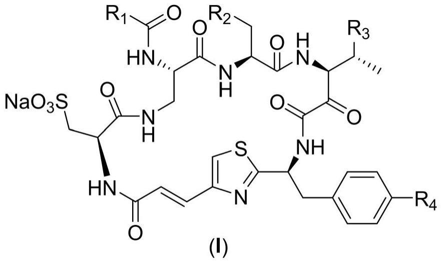 CyclotheonellazoleA结构类似物及其合成方法和应用与流程