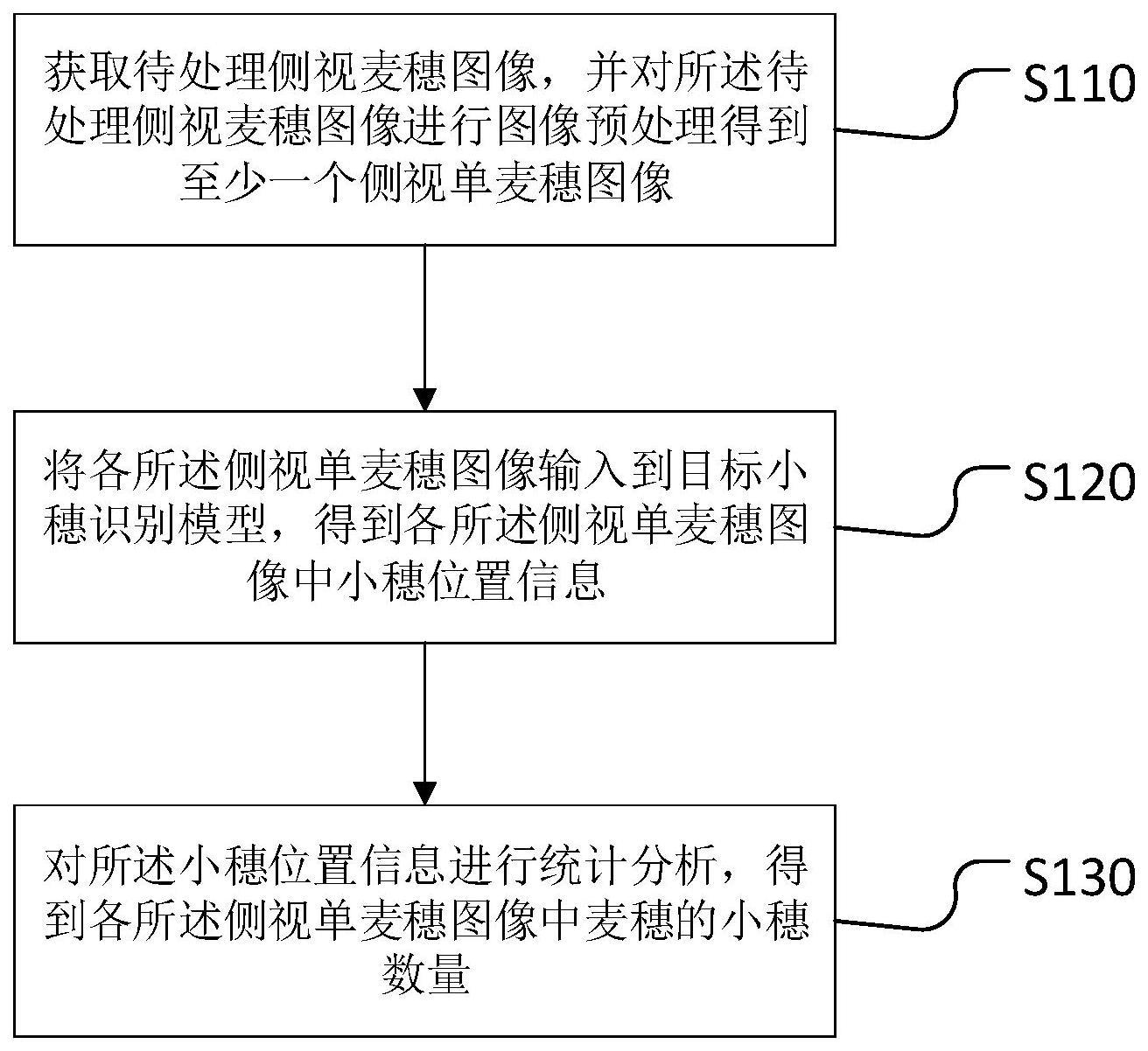 一种小穗计数方法、装置、设备和存储介质