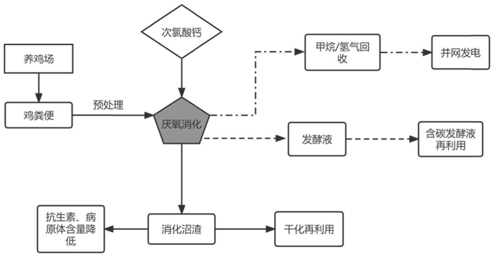 一种去除鸡粪中的病原体与抗生素并提升甲烷和氢气产量的方法