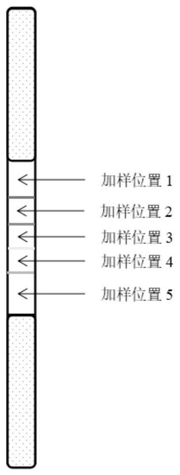 一种红细胞抗原检测方法及检测试剂盒与流程