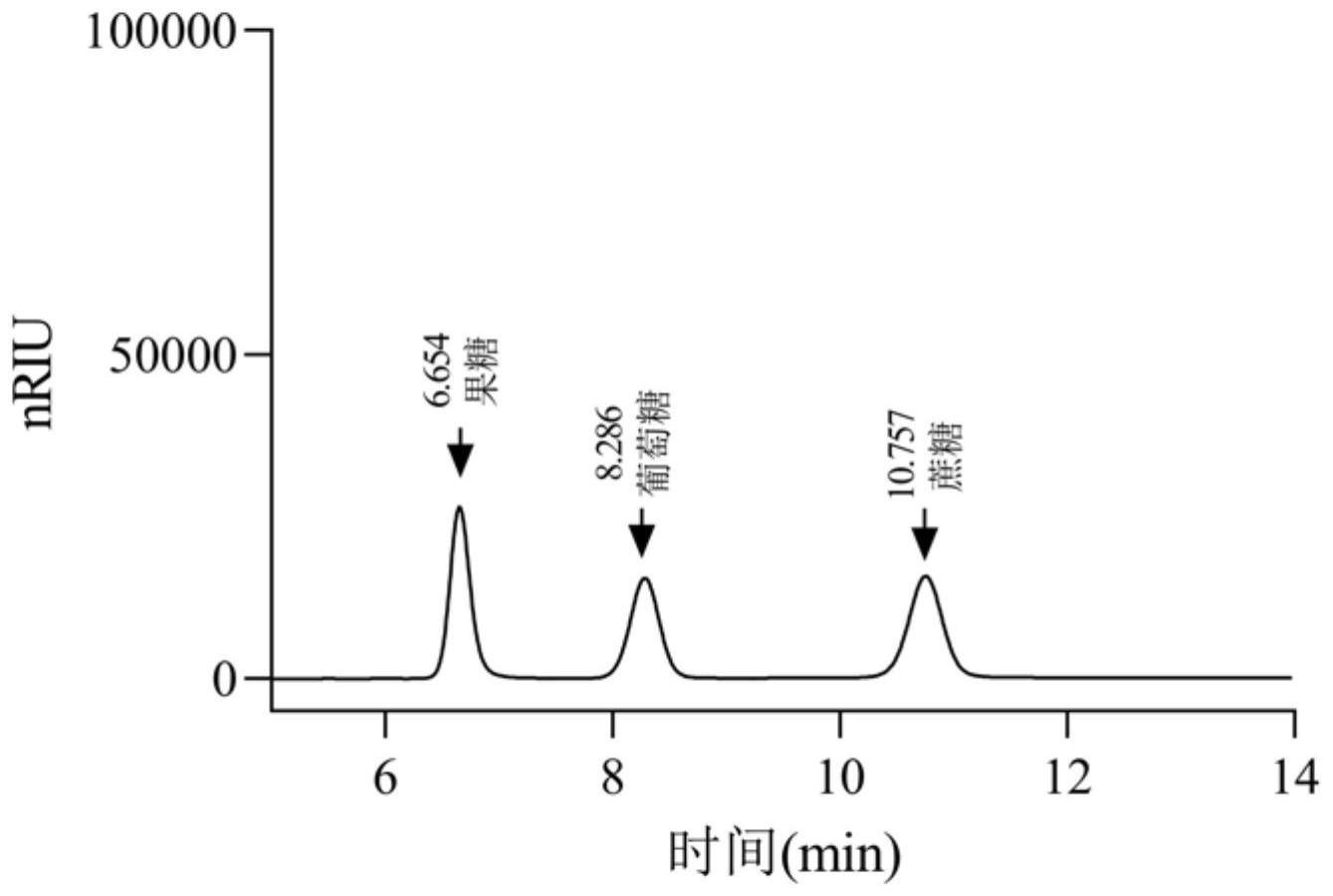 一种富含一型双果糖酐、菊糖及低聚果糖的牛蒡固体饮料