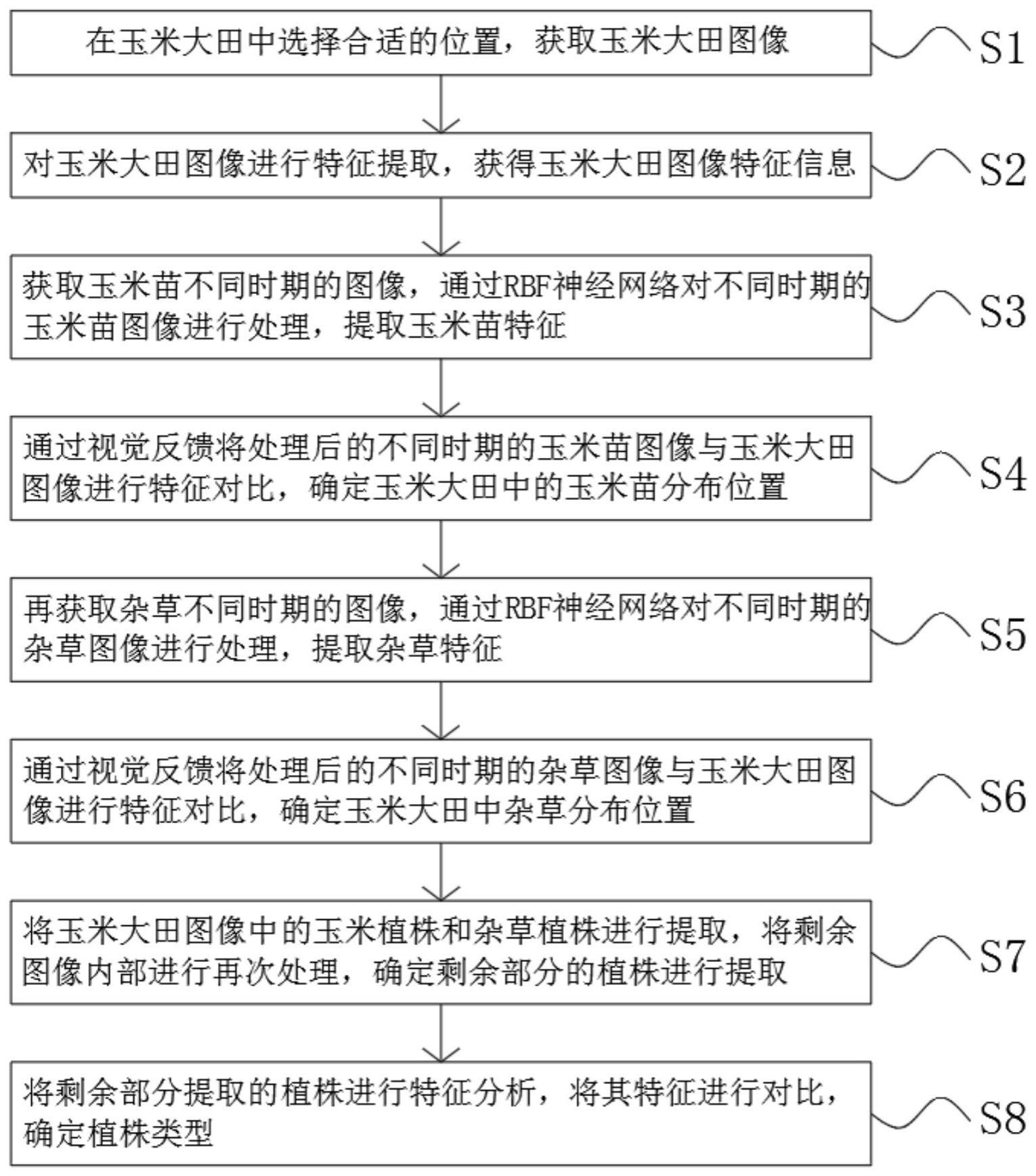 一种基于视觉反馈和RBF神经网络的玉米田杂草识别方法