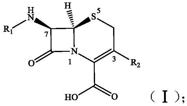 抗新冠病毒感染的7-氨基头孢烷酸衍生物的医药用途