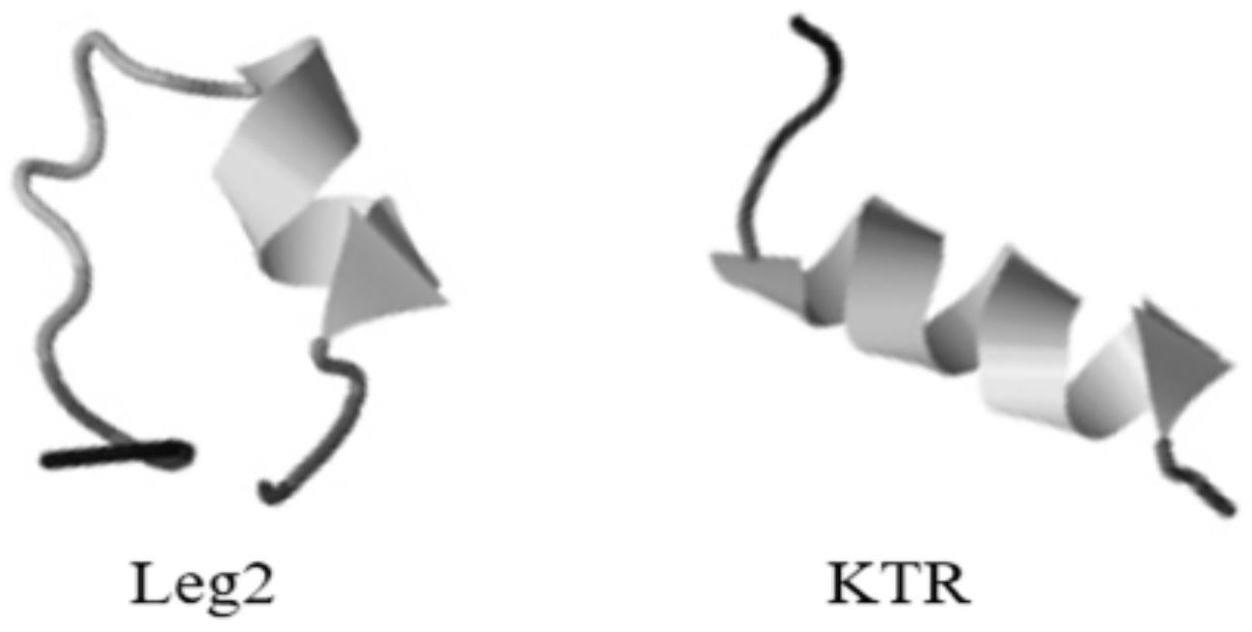 一种广谱抗菌肽KTR及其应用