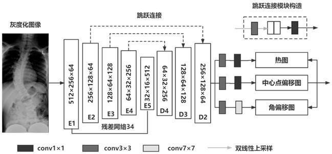 一种基于残差网络的Cobb角检测方法