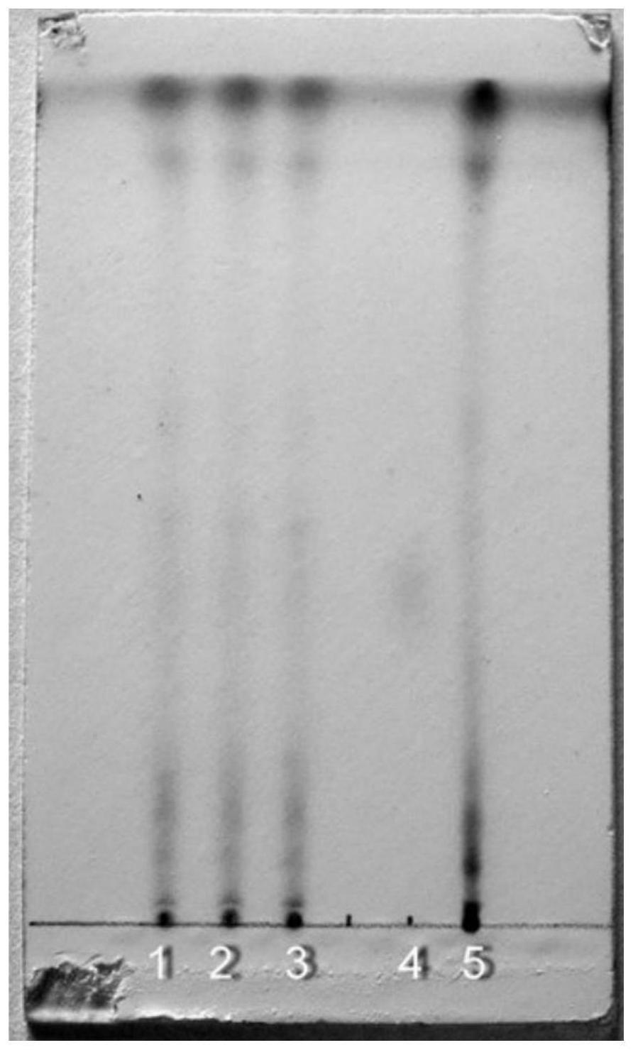 一种肾安胶囊的薄层色谱鉴别方法与流程