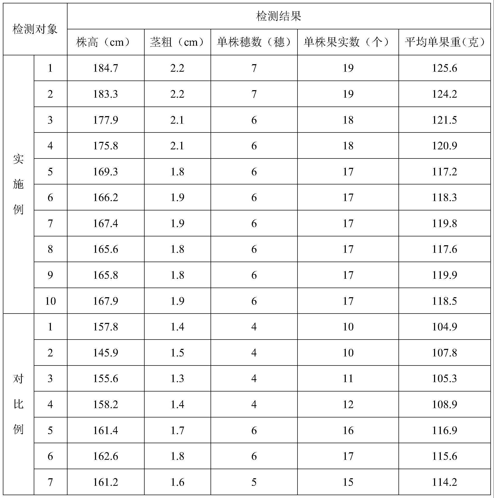 一种促生类微生物菌剂及其应用、无土栽培基质及其应用、栽培番茄的技术模式的制作方法