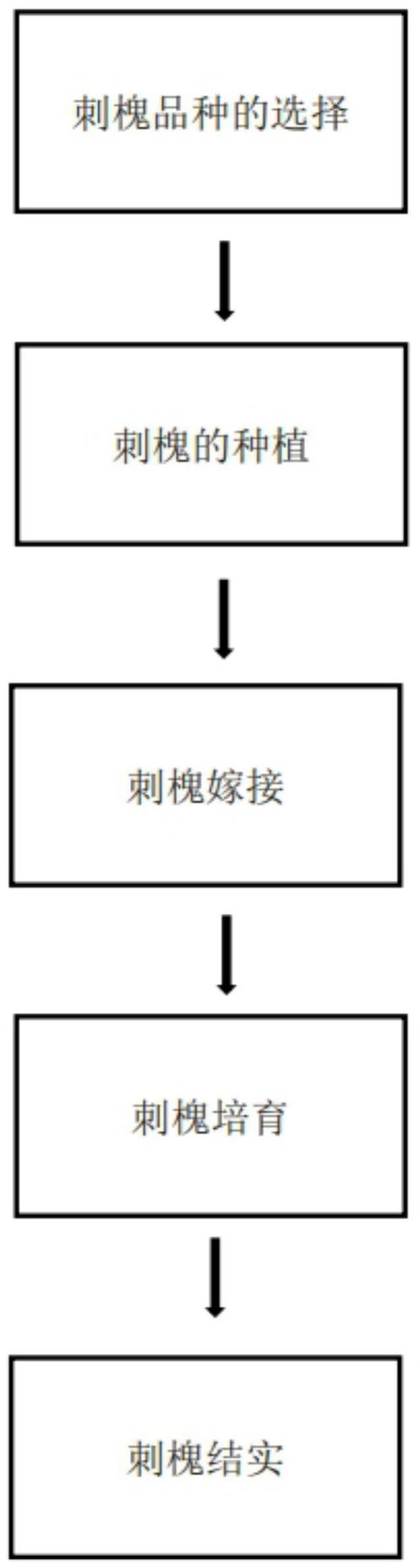 一种快速获得刺槐杂种的方法