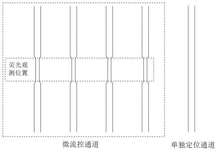 一种微流控芯片及降低微流控芯片相邻通道互扰的方法与流程