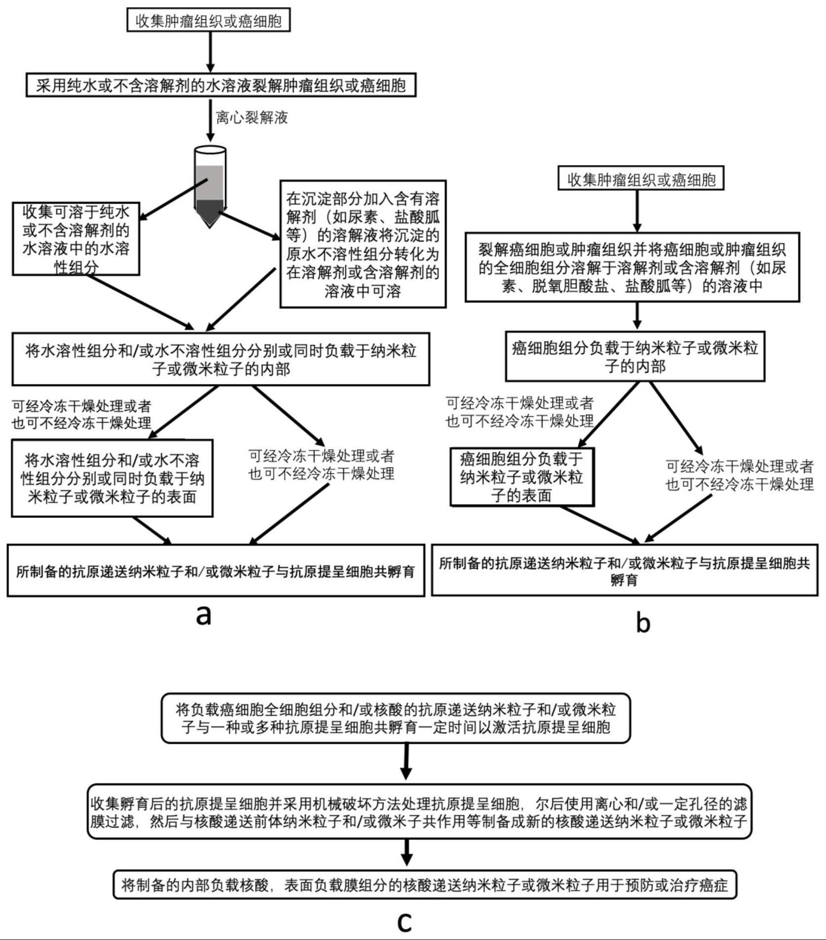 基于激活的抗原提呈细胞的核酸递送粒子、核酸递送系统及制备方法与流程