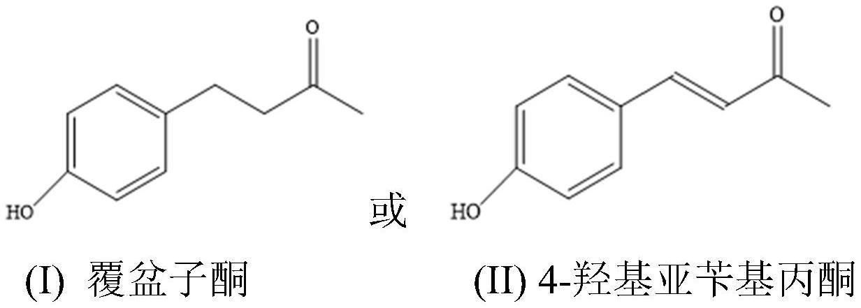 口腔护理抗微生物组合物、其制备方法及其使用方法与流程