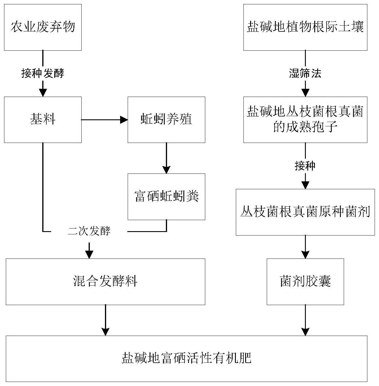 一种盐碱地富硒活性有机肥及制备方法